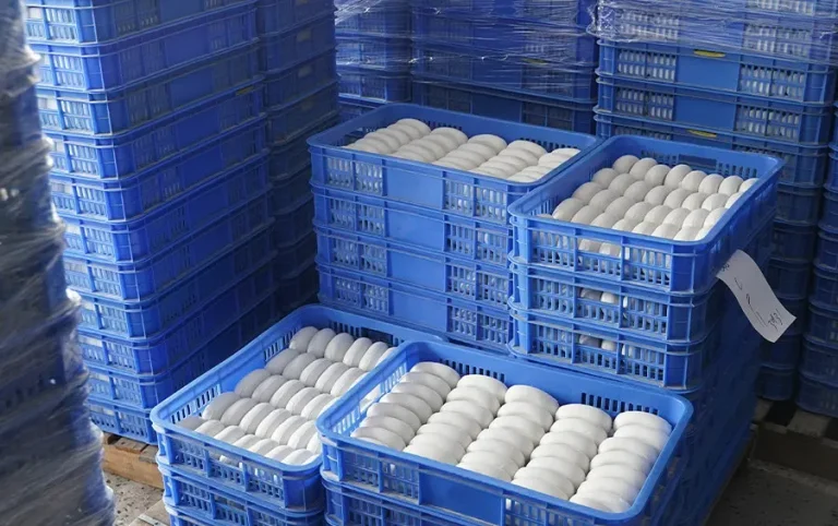 Packaging and branding support